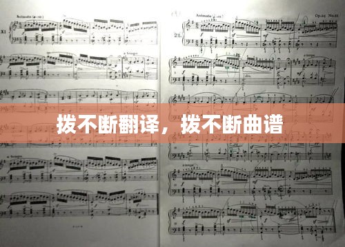 拨不断翻译，拨不断曲谱 