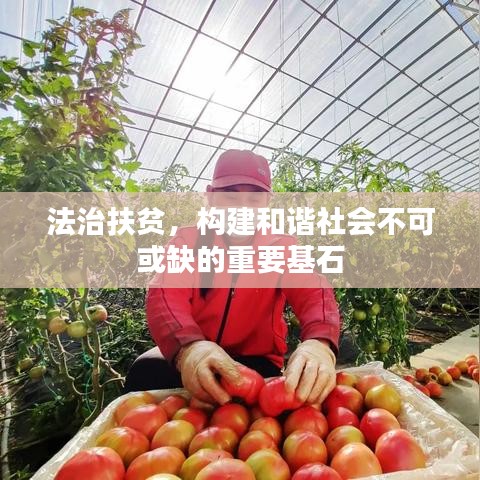 法治扶贫，构建和谐社会不可或缺的重要基石