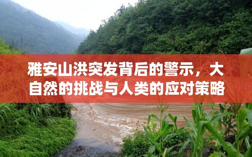 雅安山洪突发背后的警示，大自然的挑战与人类的应对策略