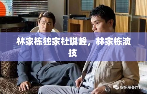 林家栋独家杜琪峰，林家栋演技 