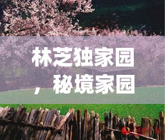 国色天姿 第2页