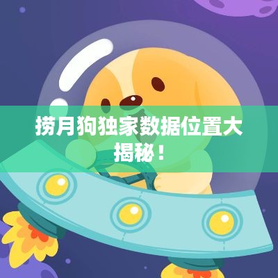 捞月狗独家数据位置大揭秘！