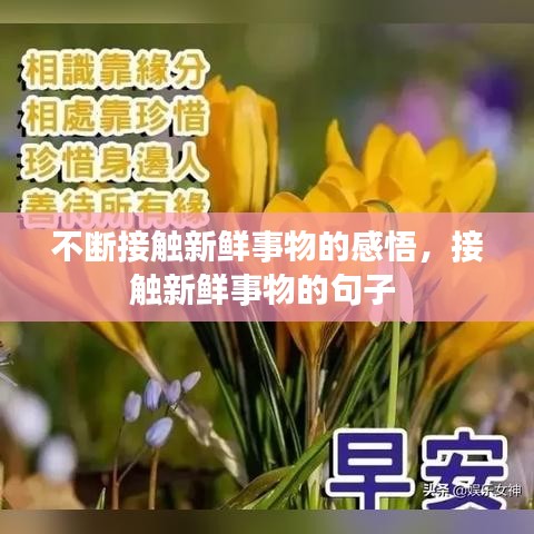 不断接触新鲜事物的感悟，接触新鲜事物的句子 