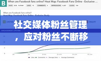 社交媒体粉丝管理，应对粉丝不断移除的策略与技巧