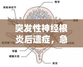 程门飞雪 第2页