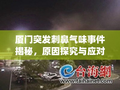 厦门突发刺鼻气味事件揭秘，原因探究与应对之策