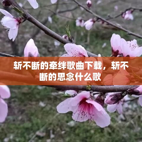 斩不断的牵绊歌曲下载，斩不断的思念什么歌 