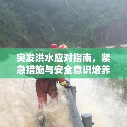 突发洪水应对指南，紧急措施与安全意识培养视频教学