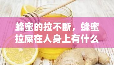 越鸟南栖 第2页