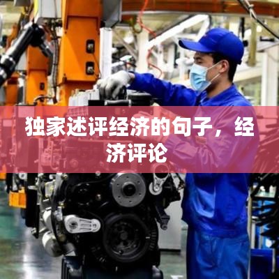 独家述评经济的句子，经济评论 