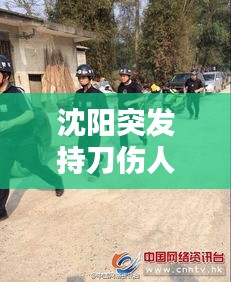 沈阳突发持刀伤人，沈阳持刀伤人案致2死7伤 