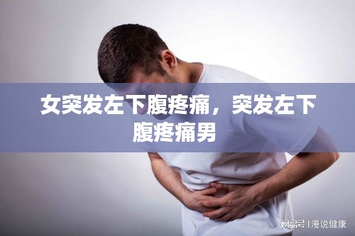 鸟革翬飞 第2页
