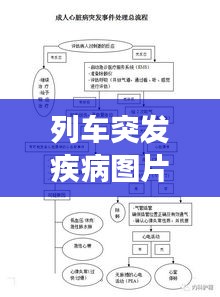 列车突发疾病图片，列车突发事件业务办理流程图 