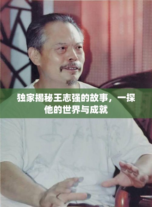 独家揭秘王志强的故事，一探他的世界与成就