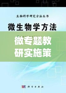 微专题教研实施策略，打造高效教学新篇章