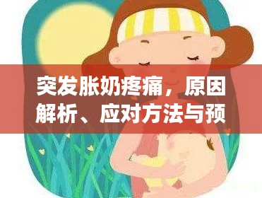 突发胀奶疼痛，原因解析、应对方法与预防措施