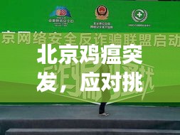 北京鸡瘟突发，应对挑战，守护健康安全
