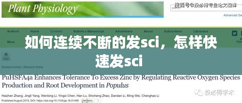 如何连续不断的发sci，怎样快速发sci 
