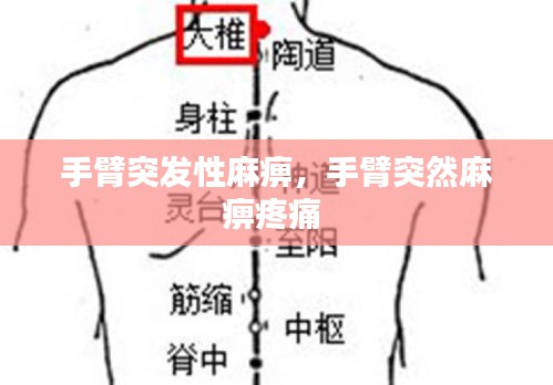 手臂突发性麻痹，手臂突然麻痹疼痛 