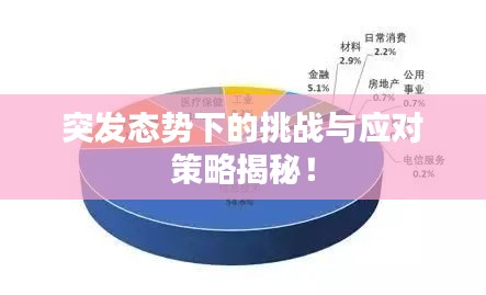突发态势下的挑战与应对策略揭秘！