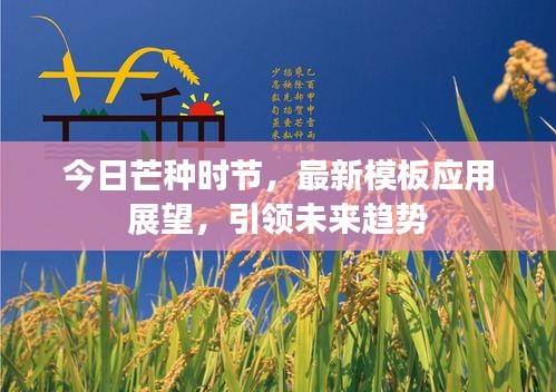 今日芒种时节，最新模板应用展望，引领未来趋势
