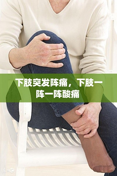 林下风气 第2页