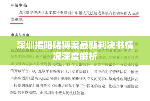 深圳揭阳赌博案最新判决书情况深度解析