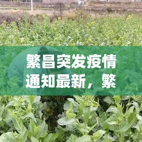 繁昌突发疫情通知最新，繁昌确诊一例 