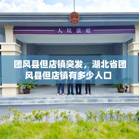 团风县但店镇突发，湖北省团风县但店镇有多少人口 