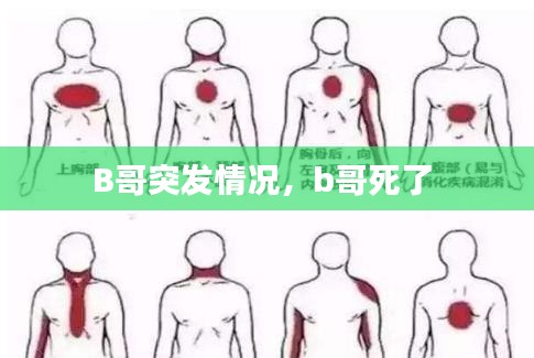 B哥突发情况，b哥死了 