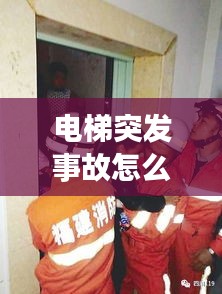 不飞则已 第2页