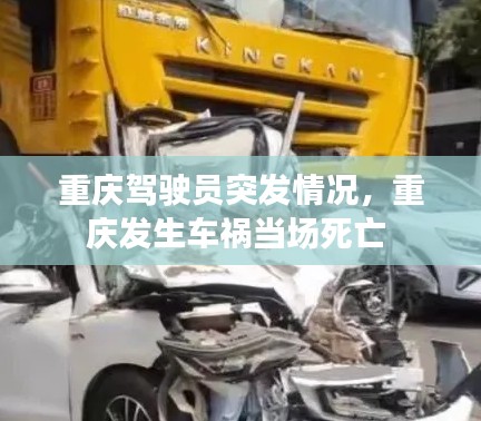 重庆驾驶员突发情况，重庆发生车祸当场死亡 