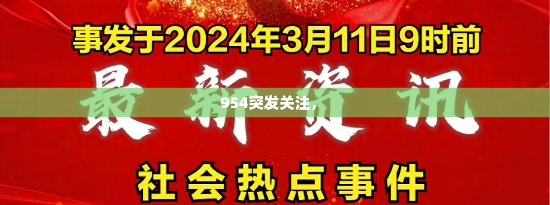 954突发关注， 
