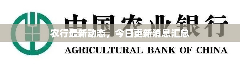 农行最新动态，今日更新消息汇总