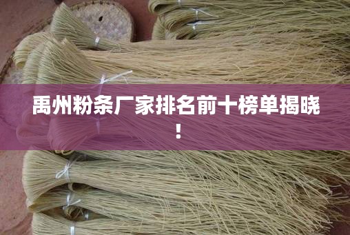 禹州粉条厂家排名前十榜单揭晓！
