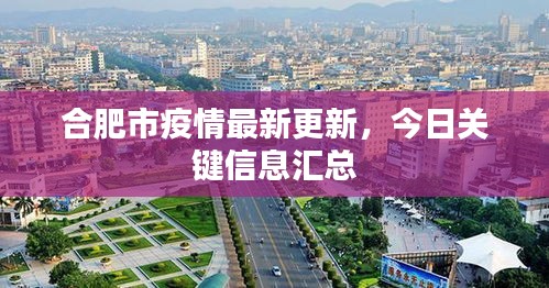 合肥市疫情最新更新，今日关键信息汇总