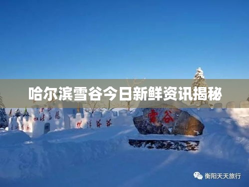 admin 第2页