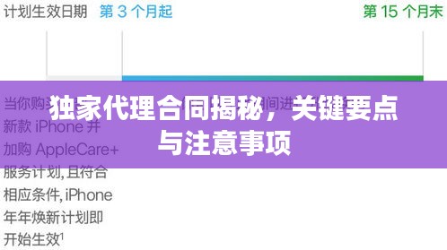 独家代理合同揭秘，关键要点与注意事项