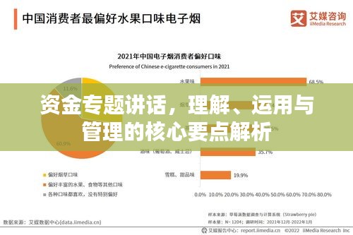 资金专题讲话，理解、运用与管理的核心要点解析