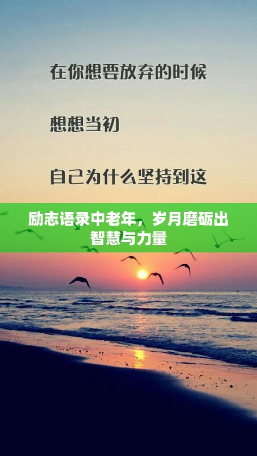 励志语录中老年，岁月磨砺出智慧与力量