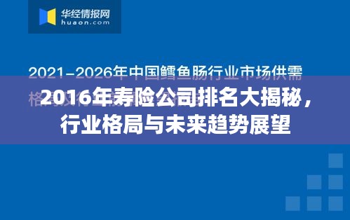 2016年寿险公司排名大揭秘，行业格局与未来趋势展望