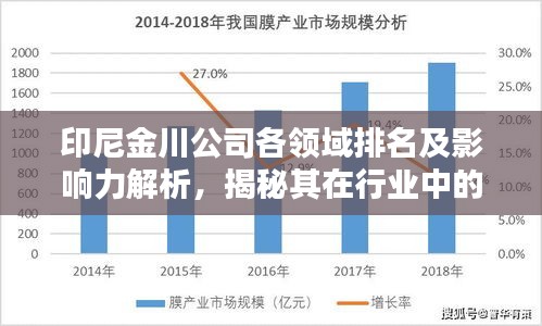 印尼金川公司各领域排名及影响力解析，揭秘其在行业中的霸主地位