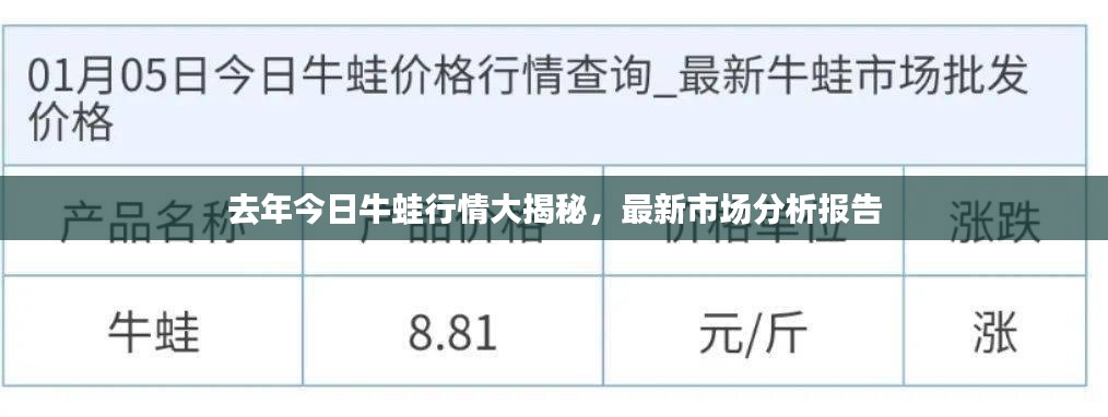 去年今日牛蛙行情大揭秘，最新市场分析报告