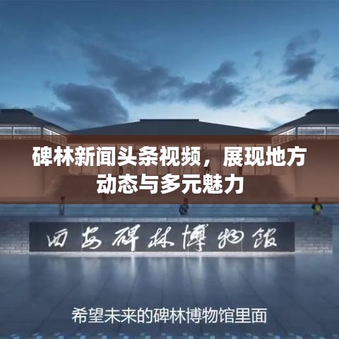 碑林新闻头条视频，展现地方动态与多元魅力
