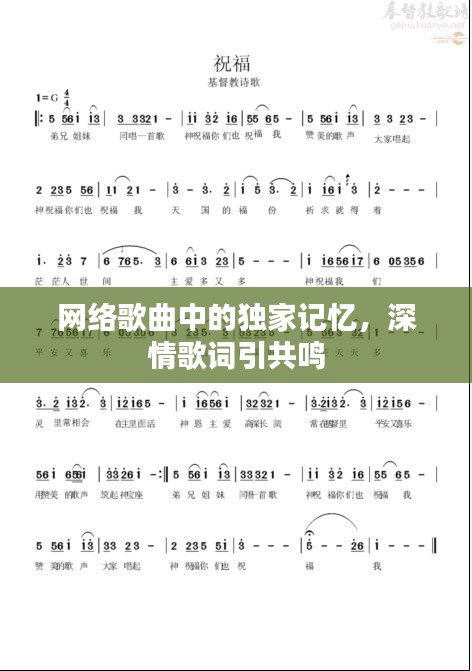 网络歌曲中的独家记忆，深情歌词引共鸣