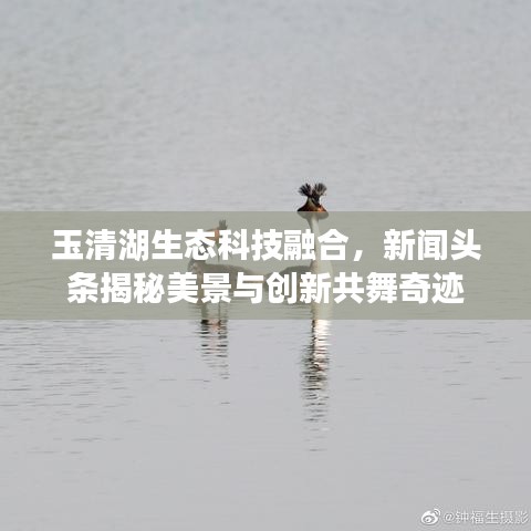 玉清湖生态科技融合，新闻头条揭秘美景与创新共舞奇迹