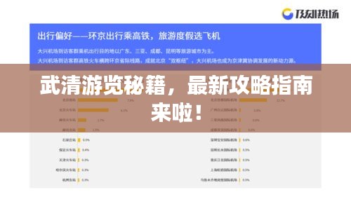 武清游览秘籍，最新攻略指南来啦！