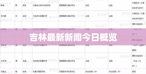 吉林最新新闻今日概览