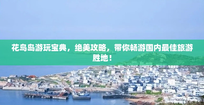 花鸟岛游玩宝典，绝美攻略，带你畅游国内最佳旅游胜地！