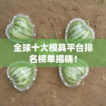 全球十大模具平台排名榜单揭晓！